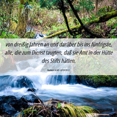 Picture 06 - Numeri 4:43 LUTH1912 - von dreißig Jahren an und darüber bis ins - Bible Verse Picture