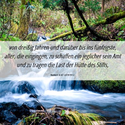 Picture 06 - Numeri 4:47 LUTH1912 - von dreißig Jahren und darüber bis ins - Bible Verse Picture