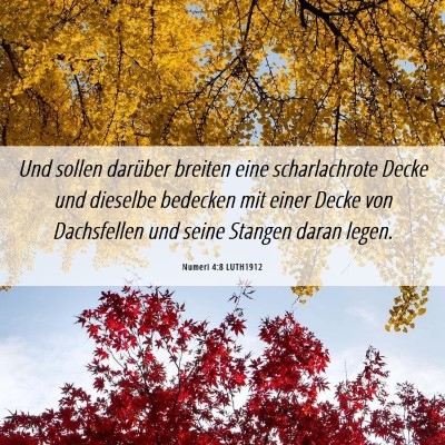 Picture 06 - Numeri 4:8 LUTH1912 - Und sollen darüber breiten eine scharlachrote - Bible Verse Picture
