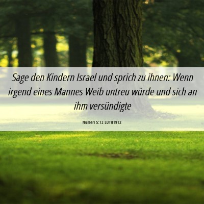 Picture 06 - Numeri 5:12 LUTH1912 - Sage den Kindern Israel und sprich zu ihnen: Wenn - Bible Verse Picture