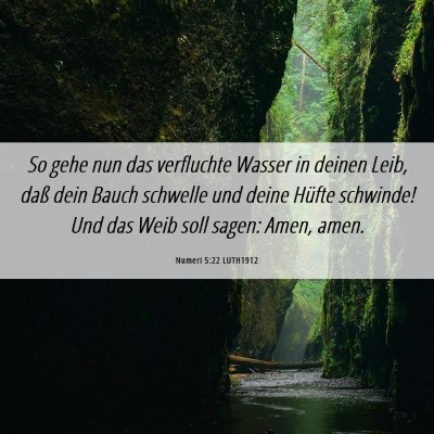 Picture 06 - Numeri 5:22 LUTH1912 - So gehe nun das verfluchte Wasser in deinen Leib, - Bible Verse Picture