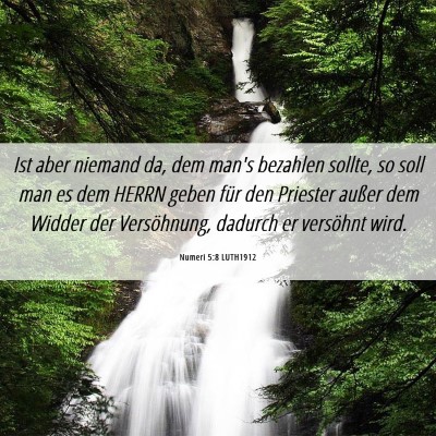Picture 06 - Numeri 5:8 LUTH1912 - Ist aber niemand da, dem man's bezahlen sollte, - Bible Verse Picture