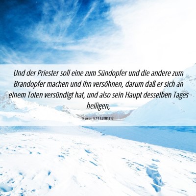 Picture 06 - Numeri 6:11 LUTH1912 - Und der Priester soll eine zum Sündopfer und die - Bible Verse Picture
