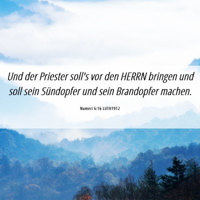 Picture 06 - Numeri 6:16 LUTH1912 - Und der Priester soll's vor den HERRN bringen und - Bible Verse Picture