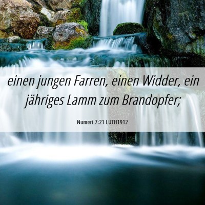Picture 06 - Numeri 7:21 LUTH1912 - einen jungen Farren, einen Widder, ein jähriges - Bible Verse Picture