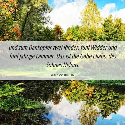 Picture 06 - Numeri 7:29 LUTH1912 - und zum Dankopfer zwei Rinder, fünf Widder und - Bible Verse Picture