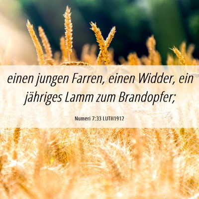 Picture 06 - Numeri 7:33 LUTH1912 - einen jungen Farren, einen Widder, ein jähriges - Bible Verse Picture