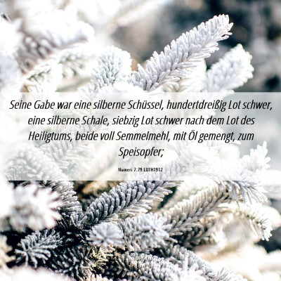 Picture 06 - Numeri 7:79 LUTH1912 - Seine Gabe war eine silberne Schüssel, - Bible Verse Picture