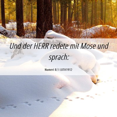 Picture 06 - Numeri 8:1 LUTH1912 - Und der HERR redete mit Mose und - Bible Verse Picture