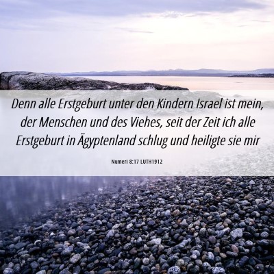 Picture 06 - Numeri 8:17 LUTH1912 - Denn alle Erstgeburt unter den Kindern Israel ist - Bible Verse Picture