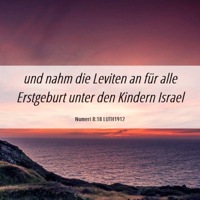Picture 06 - Numeri 8:18 LUTH1912 - und nahm die Leviten an für alle Erstgeburt - Bible Verse Picture
