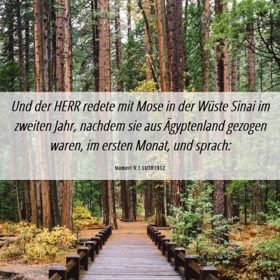 Picture 06 - Numeri 9:1 LUTH1912 - Und der HERR redete mit Mose in der Wüste Sinai - Bible Verse Picture
