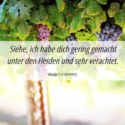 Picture 06 - Obadja 1:2 LUTH1912 - Siehe, ich habe dich gering gemacht unter den - Bible Verse Picture