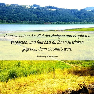 Picture 06 - Offenbarung 16:6 LUTH1912 - denn sie haben das Blut der Heiligen und - Bible Verse Picture