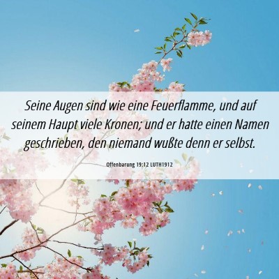 Picture 06 - Offenbarung 19:12 LUTH1912 - Seine Augen sind wie eine Feuerflamme, und auf - Bible Verse Picture