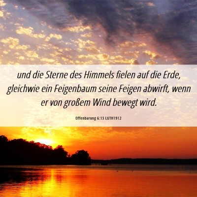 Picture 06 - Offenbarung 6:13 LUTH1912 - und die Sterne des Himmels fielen auf die Erde, - Bible Verse Picture