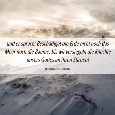 Picture 06 - Offenbarung 7:3 LUTH1912 - und er sprach: Beschädiget die Erde nicht noch - Bible Verse Picture