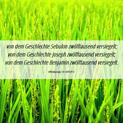 Picture 06 - Offenbarung 7:8 LUTH1912 - von dem Geschlechte Sebulon zwölftausend - Bible Verse Picture