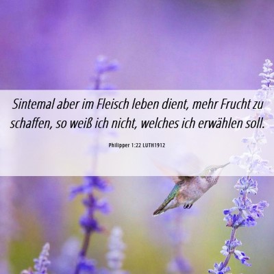 Picture 06 - Philipper 1:22 LUTH1912 - Sintemal aber im Fleisch leben dient, mehr Frucht - Bible Verse Picture
