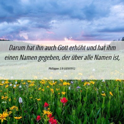 Picture 06 - Philipper 2:9 LUTH1912 - Darum hat ihn auch Gott erhöht und hat ihm einen - Bible Verse Picture