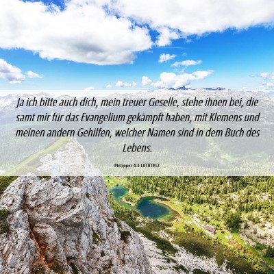 Picture 06 - Philipper 4:3 LUTH1912 - Ja ich bitte auch dich, mein treuer Geselle, - Bible Verse Picture