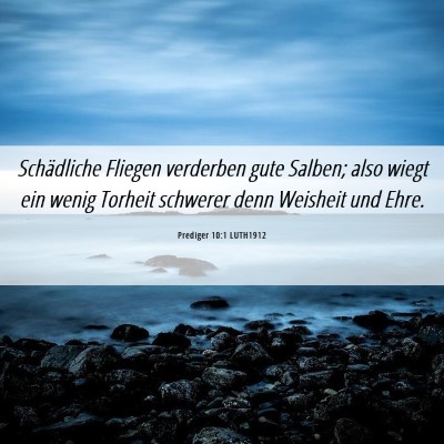 Picture 06 - Prediger 10:1 LUTH1912 - Schädliche Fliegen verderben gute Salben; also - Bible Verse Picture
