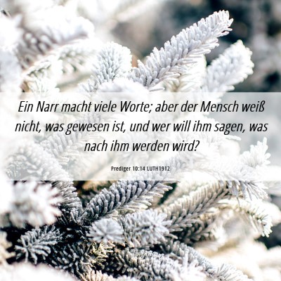 Picture 06 - Prediger 10:14 LUTH1912 - Ein Narr macht viele Worte; aber der Mensch weiß - Bible Verse Picture