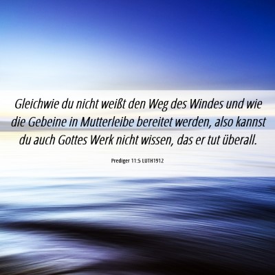 Picture 06 - Prediger 11:5 LUTH1912 - Gleichwie du nicht weißt den Weg des Windes und - Bible Verse Picture