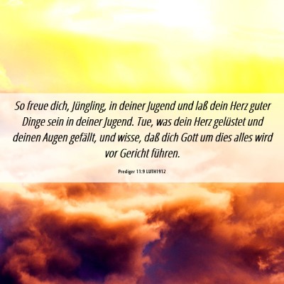 Picture 06 - Prediger 11:9 LUTH1912 - So freue dich, Jüngling, in deiner Jugend und - Bible Verse Picture