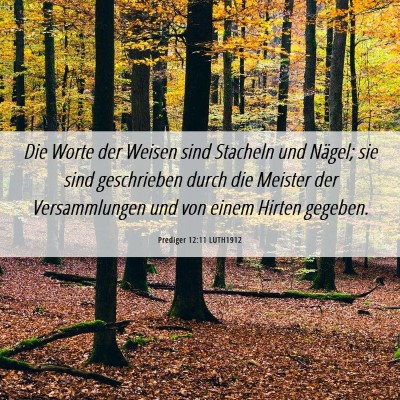 Picture 06 - Prediger 12:11 LUTH1912 - Die Worte der Weisen sind Stacheln und Nägel; - Bible Verse Picture
