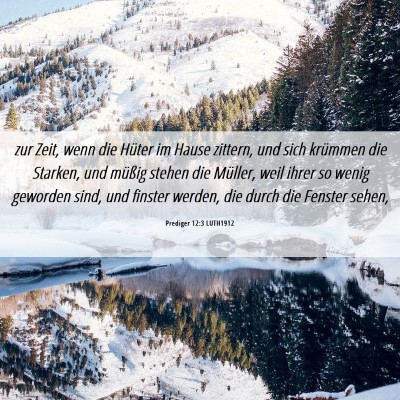 Picture 06 - Prediger 12:3 LUTH1912 - zur Zeit, wenn die Hüter im Hause zittern, und - Bible Verse Picture