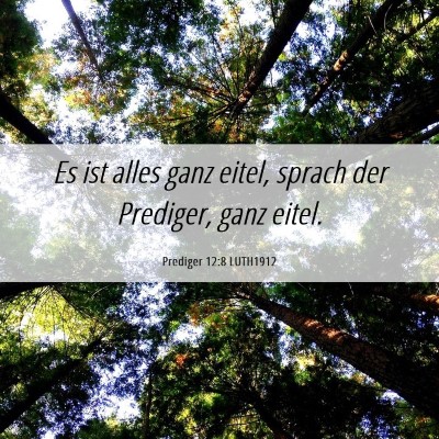 Picture 06 - Prediger 12:8 LUTH1912 - Es ist alles ganz eitel, sprach der Prediger, - Bible Verse Picture