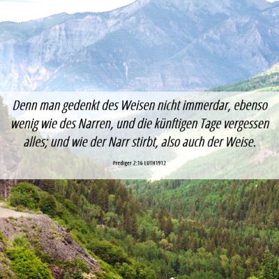Picture 06 - Prediger 2:16 LUTH1912 - Denn man gedenkt des Weisen nicht immerdar, - Bible Verse Picture