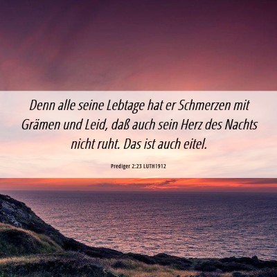 Picture 06 - Prediger 2:23 LUTH1912 - Denn alle seine Lebtage hat er Schmerzen mit - Bible Verse Picture
