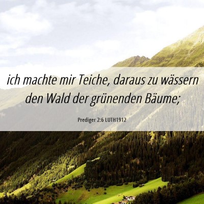 Picture 06 - Prediger 2:6 LUTH1912 - ich machte mir Teiche, daraus zu wässern den - Bible Verse Picture