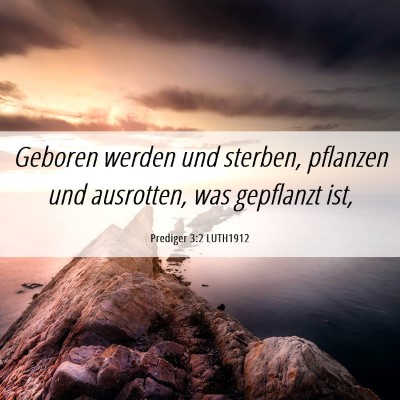 Picture 06 - Prediger 3:2 LUTH1912 - Geboren werden und sterben, pflanzen und - Bible Verse Picture