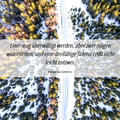 Picture 06 - Prediger 4:12 LUTH1912 - Einer mag überwältigt werden, aber zwei mögen - Bible Verse Picture