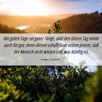 Picture 06 - Prediger 7:14 LUTH1912 - Am guten Tage sei guter Dinge, und den bösen Tag - Bible Verse Picture