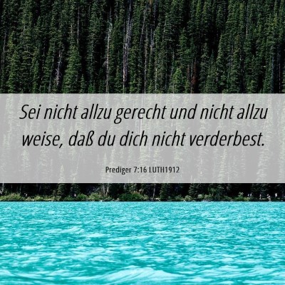 Picture 06 - Prediger 7:16 LUTH1912 - Sei nicht allzu gerecht und nicht allzu weise, - Bible Verse Picture