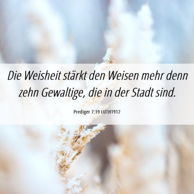 Picture 06 - Prediger 7:19 LUTH1912 - Die Weisheit stärkt den Weisen mehr denn zehn - Bible Verse Picture
