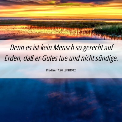 Picture 06 - Prediger 7:20 LUTH1912 - Denn es ist kein Mensch so gerecht auf Erden, - Bible Verse Picture