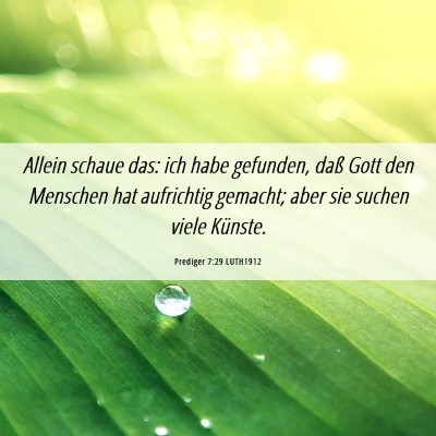 Picture 06 - Prediger 7:29 LUTH1912 - Allein schaue das: ich habe gefunden, daß Gott - Bible Verse Picture