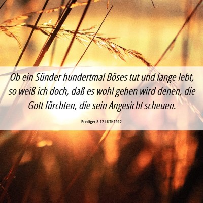 Picture 06 - Prediger 8:12 LUTH1912 - Ob ein Sünder hundertmal Böses tut und lange - Bible Verse Picture