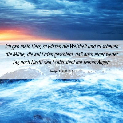Picture 06 - Prediger 8:16 LUTH1912 - Ich gab mein Herz, zu wissen die Weisheit und zu - Bible Verse Picture