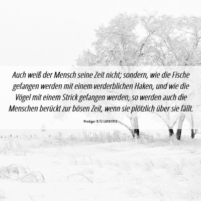 Picture 06 - Prediger 9:12 LUTH1912 - Auch weiß der Mensch seine Zeit nicht; sondern, - Bible Verse Picture