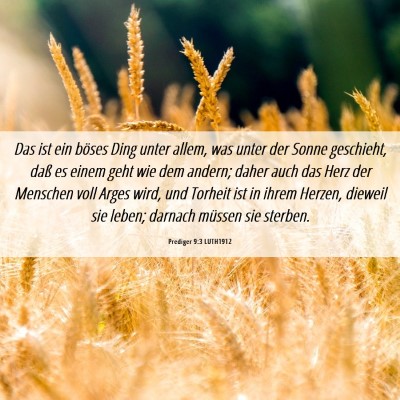 Picture 06 - Prediger 9:3 LUTH1912 - Das ist ein böses Ding unter allem, was unter - Bible Verse Picture