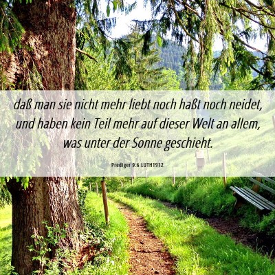 Picture 06 - Prediger 9:6 LUTH1912 - daß man sie nicht mehr liebt noch haßt noch - Bible Verse Picture