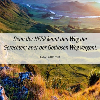 Picture 06 - Psalm 1:6 LUTH1912 - Denn der HERR kennt den Weg der Gerechten; aber - Bible Verse Picture