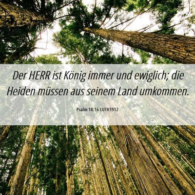 Picture 06 - Psalm 10:16 LUTH1912 - Der HERR ist König immer und ewiglich; die - Bible Verse Picture