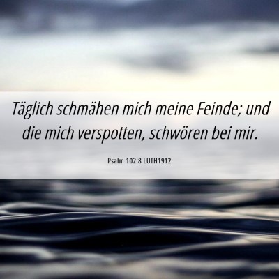 Picture 06 - Psalm 102:8 LUTH1912 - Täglich schmähen mich meine Feinde; und die - Bible Verse Picture
